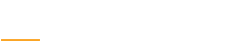 Dynamic Execution for Executives